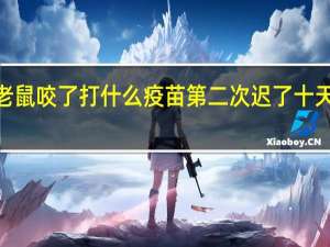 被老鼠咬了打什么疫苗第二次迟了十天打了1次