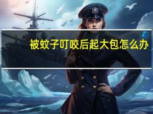 被蚊子叮咬后起大包怎么办（被蚊子叮咬后起大包）