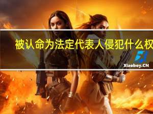 被认命为法定代表人侵犯什么权利