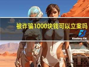 被诈骗1000块钱可以立案吗
