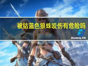被钴蓝色狼蛛咬伤有危险吗
