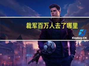 裁军百万人去了哪里