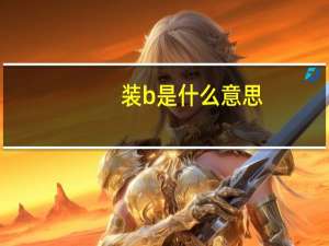 装b是什么意思