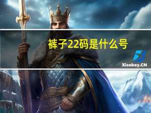 裤子22码是什么号