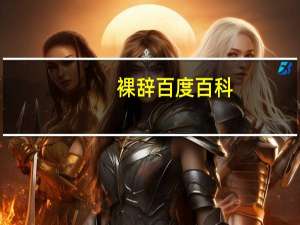 裸辞百度百科（裸辞是什么意思）
