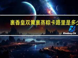 裹香皇 双黄裹蒸粽卡路里是多少
