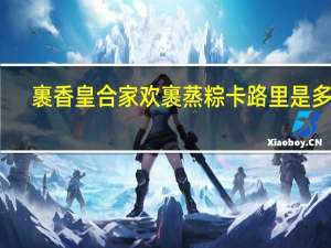 裹香皇 合家欢裹蒸粽卡路里是多少