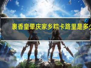 裹香皇 肇庆家乡粽卡路里是多少