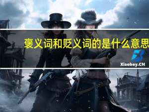 褒义词和贬义词的是什么意思（贬义词和褒义词是什么意思）