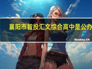 襄阳市智投汇文综合高中是公办吗