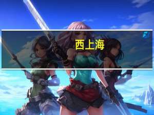 西上海：公司汽车零部件物流服务已覆盖国内主要汽车主机厂及其旗下物流企业