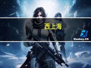 西上海：暂未考虑布局发展机器人