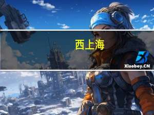 西上海：目前暂未与小米汽车开展直接合作