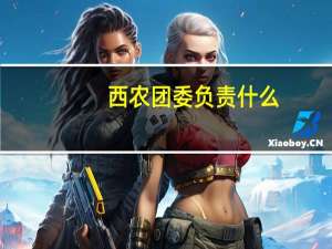 西农团委负责什么