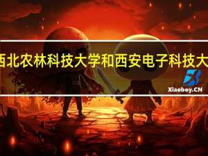 西北农林科技大学和西安电子科技大学相比，一个文科生选哪个好