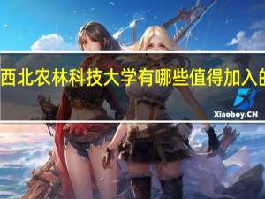 西北农林科技大学有哪些值得加入的社团