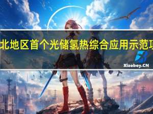 西北地区首个光储氢热综合应用示范项目建成