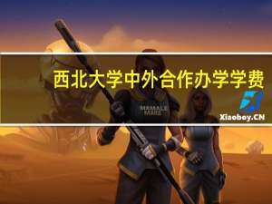 西北大学中外合作办学学费