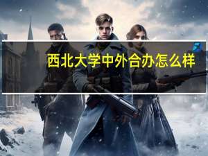西北大学中外合办怎么样