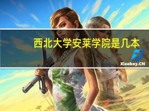 西北大学安莱学院是几本