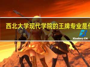 西北大学现代学院的王牌专业是什么