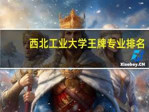 西北工业大学王牌专业排名