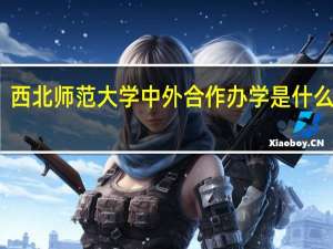 西北师范大学中外合作办学是什么专业