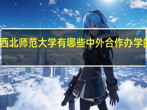 西北师范大学有哪些中外合作办学的专业