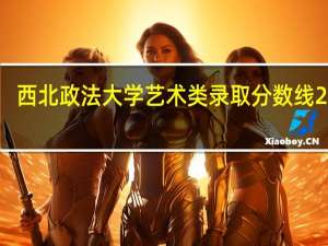 西北政法大学艺术类录取分数线2020