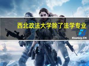 西北政法大学除了法学专业，哪些专业比较好