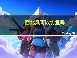 西北风可以钓鱼吗