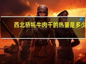 西北骄牦牛肉干的热量是多少