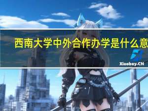 西南大学中外合作办学是什么意思