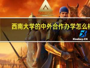西南大学的中外合作办学怎么样