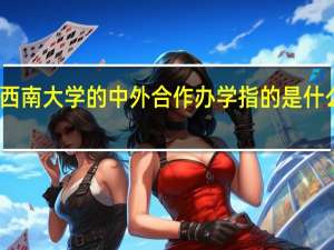 西南大学的中外合作办学指的是什么意思