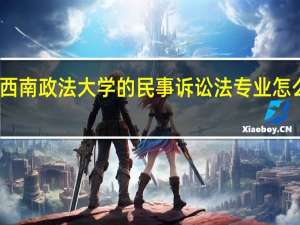 西南政法大学的民事诉讼法专业怎么样呀