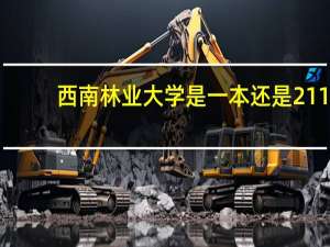 西南林业大学是一本还是211