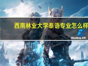 西南林业大学泰语专业怎么样