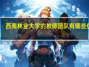 西南林业大学的教师团队有哪些优势