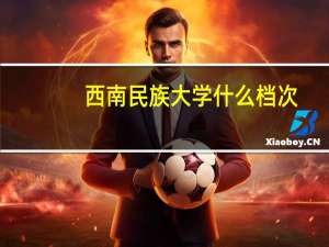 西南民族大学什么档次