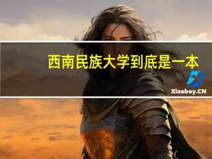 西南民族大学到底是一本，还是二本哦。。。