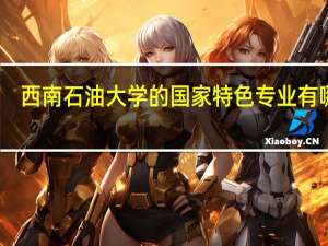西南石油大学的国家特色专业有哪些