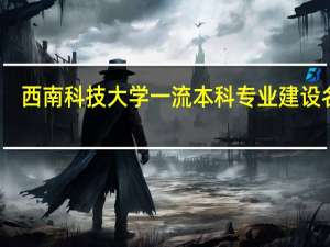 西南科技大学一流本科专业建设名单