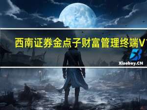 西南证券金点子财富管理终端 V10.61 官方版（西南证券金点子财富管理终端 V10.61 官方版功能简介）