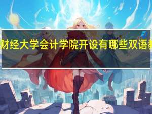 西南财经大学会计学院开设有哪些双语教学专业班