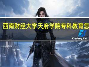 西南财经大学天府学院专科教育怎么样