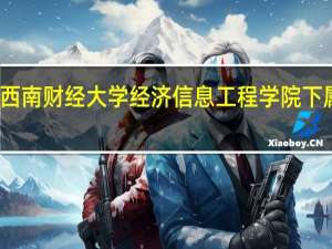 西南财经大学经济信息工程学院下属机构