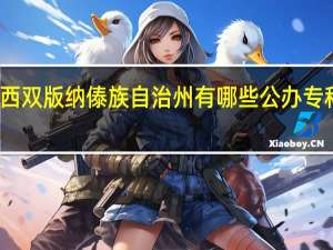 西双版纳傣族自治州有哪些公办专科大学
