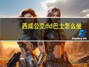 西咸公交dd巴士怎么坐