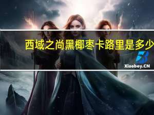 西域之尚 黑椰枣卡路里是多少